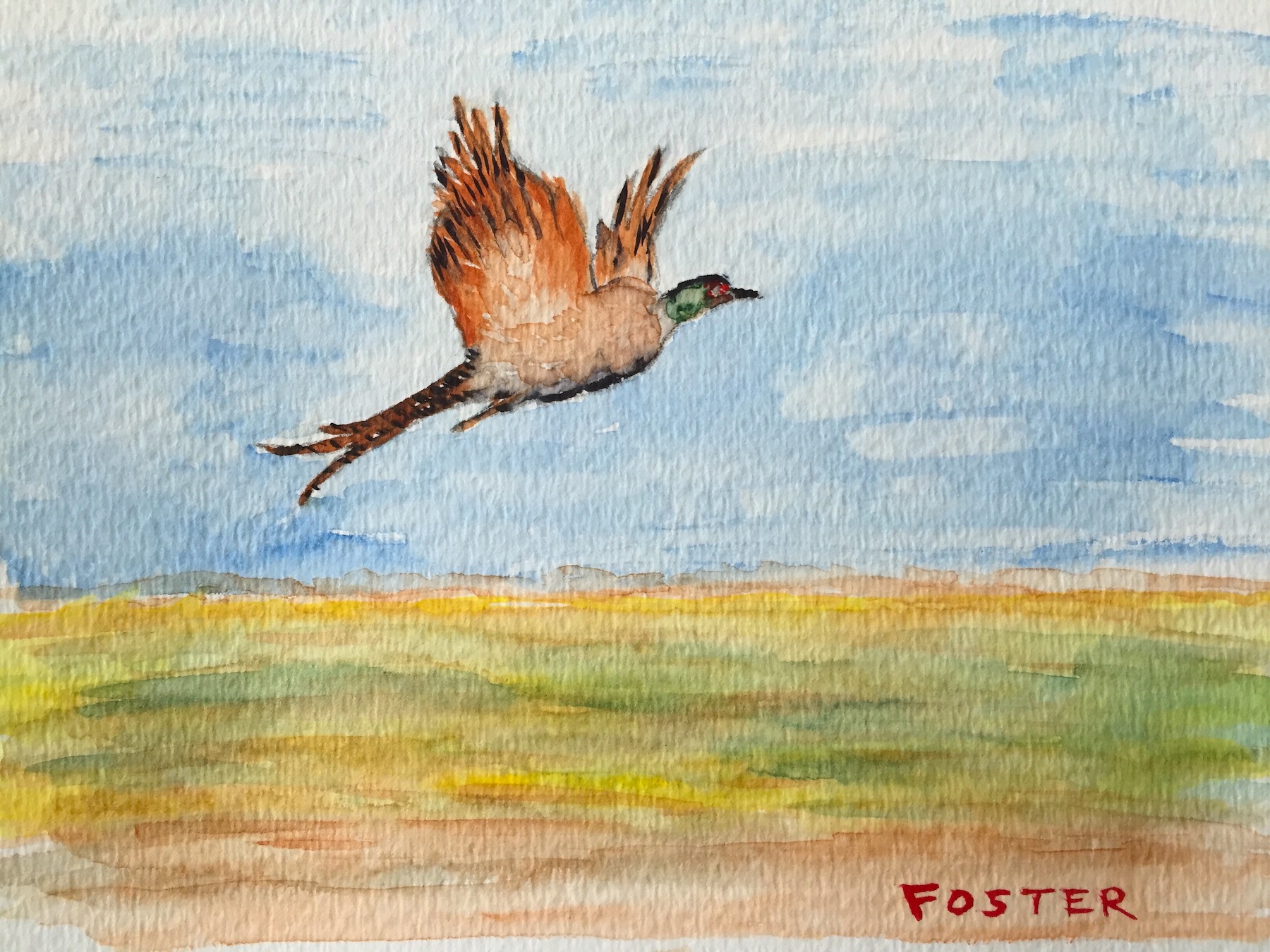 websitepaintingspheasant.JPG